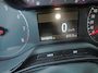 Opel Crossland X 1.2 Turbo 120 Jaar Edition Navi Cruise Clima Carplay Camera - RIJKLAAR