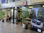 Suzuki Ignis 1.2 Smart Hybrid Select | Apple Carplay & Android Auto | Airco | Verwarmde Voorstoelen | Navigatie