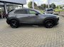 Mazda CX-30 2.5 eSA-G Nagisa