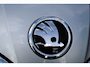 Skoda Fabia 1.0 TSI Business Edition - APPLE CARPLAY - CAMERA - AIRCO - PDC