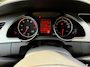 Audi A5 Cabriolet 2.0 TFSI ECC LEDER CRUISE LMV 19" PDC XENON TREKHAAK
