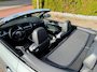 Audi A5 Cabriolet 2.0 TFSI ECC LEDER CRUISE LMV 19" PDC XENON TREKHAAK