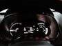 Dacia Spring Extreme 27 kWh AUTOMAAT | SNELLADER | NAVI | PDC |