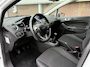Ford Fiesta 1.0 EcoB. Hot Hatch