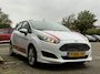 Ford Fiesta 1.0 EcoB. Hot Hatch