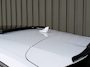 Audi Q5 Sportback 50 TFSI e S edition Competition SQ5 Stijl PANODAK|360CAMERA|KEYLESS|CARPLAY