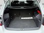 Skoda Fabia Combi 1.0 TSI Business Edition | Trekhaak | Navigatie |