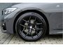 BMW 3-Serie 318i Business Edition | M-PAKKET | SCHUIFDAK | HIFI | CAMERA |