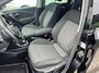 Volkswagen Polo 1.2 TSI Comfortline pano, stoelverw, cruise, clima, pdc