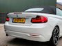 BMW 2-Serie Cabrio 220i Sport Line Performance NL Auto!