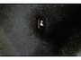 Volvo XC40 1.5 T5 Twin Engine Momentum Pro | Pano | Leder | Memory | Trekhaak | Harman & Kardon | PHEV