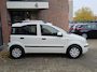 Fiat Panda 1.2 Edizione Cool Airco |Nap |Apk