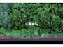 Volkswagen ID.4 GTX 4Motion 77 kWh 300 Pk HUD 🖥️ | 360° 📸 | PANO ☀️ | MATRIX IQ.LIGHT 💡 | ACC 🚗 | CARPLAY 📱|1e eigenaar