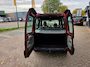 Renault Kangoo 1.2-16V Authentique/TREKHAAK