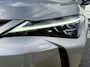 Lexus UX 250h Executive Line Schuifkanteldak / Lederen interieur / Afneembare trekhaak / Full options!  / nieuwstaat!