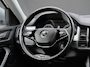 Skoda Kodiaq 1.5 TSI AUTOMAAT Business Edition 7 persoons, achteruitrijcamera, electr bedienbare trekhaak, stoelverwarming