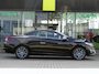 Renault Megane dCi 110pk ECO GT-Line / Trekhaak / Alarm / Stoelverwarming / Compleet dealer O.H.