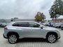 Toyota Corolla Cross 2.0 High Power Hybrid Style Panoramadak