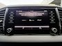 Skoda Karoq 150pk Business Edition (Trekhaak - LED - Camera - Keyless start - Navigatie - Automatische Airco - Apple Carplay - Parkeersensoren V+A)