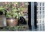 Land Rover Range Rover P550e Autobiography | Meridian Signature Audio, 23", Achterasbesturing, Massage, Trekhaak, Pano, Zonweringspakket, Stoelverwarming, Stuurverwarming, ACC