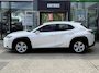 Lexus UX 250h Hybrid Automaat 184pk Business Line | Climate | Cruise | Stoelverwarming | Navigatie