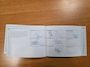 Kia Sportage 1.6 GDI X-treme DynamicLine LEDER CAMERA 4X STOELVERWARMING NAP NL AUTO