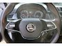 Skoda Fabia Combi 1.0 TSI Business Edition I Trekhaak I Cruise I Navi I PDC