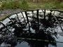 Tesla Model S 85 Base SC01 FREE SUPERCHARGING|GRATIS LADEN
