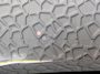 Audi Q8 60 TFSI E COMPETITION PLUS LUCHTVERING SOFT.CLOSE 23''LMV B&O ACHTERAS.BST VALCONA LEER TREKHAAK HEADUP CARBON.INT MATRIX/LASER NIEUWE ONGEBRUIKTE AUTO
