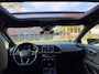 SEAT Leon ST 2.0 TSI FR Business Intense_OPENDAK_NETTE AUTO
