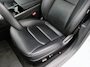 Tesla Model 3 Standard Plus RWD Standard Range Plus 85,6% SoH [ AUTOPILOT+CAMERA+CLIMAAT+NAVIGATIE+PDC+LED ]