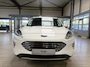 Ford Kuga 2.5 PHEV 225 pk Titanium | Trekhaak | Winter Pack | El. a. klep | Camera | SOH 98,3% | 100% dealer onderh. | 4 seiz. banden