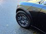 MINI Cooper 3-Deurs 1.6 Pepper Liefhebbers Auto