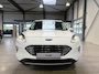 Ford Kuga 2.5 PHEV 225 pk Titanium | Winter Pack | 100% dealer onderh. | SOH 87,7% | Camera | Cruise |  4 seiz. banden |