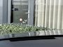 Audi E-tron 50 Quattro S Line Black Edition/Head Up/96%SOH