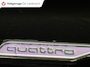 Audi Q8 60 TFSI e quattro Pro Line S Competition 490pk | Panoramadak | luchtvering | head-up | 360 camera | 22 inch