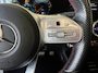 Mercedes-Benz GLA 250e | BUSINESS SOLUTION | AMG | PLUS PAKKET | TREKHAAK | NL-AUTO |