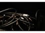 Alpine A290 GTS 52 kWh | CLIMA | STUURVERWARMING | DAB | APPLE | CAMERA | 19"