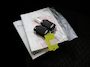 Kia Picanto 1.0 GDi DynamicPlusLine | 4-zits | Parkeercamera | Navigatie | LED Koplampen | Cruise control | Apple Carplay/Android Auto |