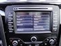Ford S-Max 1.6 EcoBoost Platinum 7p. | NL-AUTO | CRUISE | TREKHAAK | LMV | NAVI |
