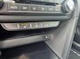 Kia Ceed Sportswagon Sw 1.0 T-GDi 100pk DynamicPlusLine | DEMO DEAL | Stoel/Stuurwielverwarming | Navigatie | Climate Control | Elektrische Achterklep |