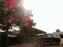 Alfa Romeo Stelvio 2.9 V6 AWD Quadrifoglio MY2021 | BTW-auto! | Carbon | Carplay