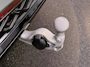 Volkswagen Tiguan 1.5 eHybrid R-Line Edition | Panodak | Trekhaak | 360 Camera | Harman Kardon | ACC | Head Upp | Massage |