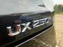 Lexus UX 250h Luxury Line