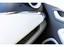 Renault Zoe Q210 Zen Quickcharge 22 kWh (ex Accu) Koop mogelijk I 91% SOH