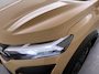 Dacia Sandero Stepway TCe 90 CVT Extreme | automaat | Pack Extreme | Media Nav |