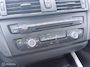 BMW 1-Serie 116i Business Limited Edition STOELVERWARMING