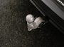 Volvo XC40 T5 PLUG-IN HYBRID ULTIMATE DARK SCHUIFAK ACC ELEK.STOELEN TREKHAAK HARMAN KARDON