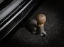 Volkswagen Tiguan 1.5 TSI ACT Highline Business R-Line (PANO, TREKHAAK, ADAPTIVE CRUISE, APPLE CARPLAY/ANDROID AUTO, 360 CAMERA)