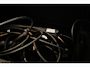 Alpine A290 GTS 52 kWh | CLIMA | STUURVERWARMING | DAB | APPLE | CAMERA | 19"